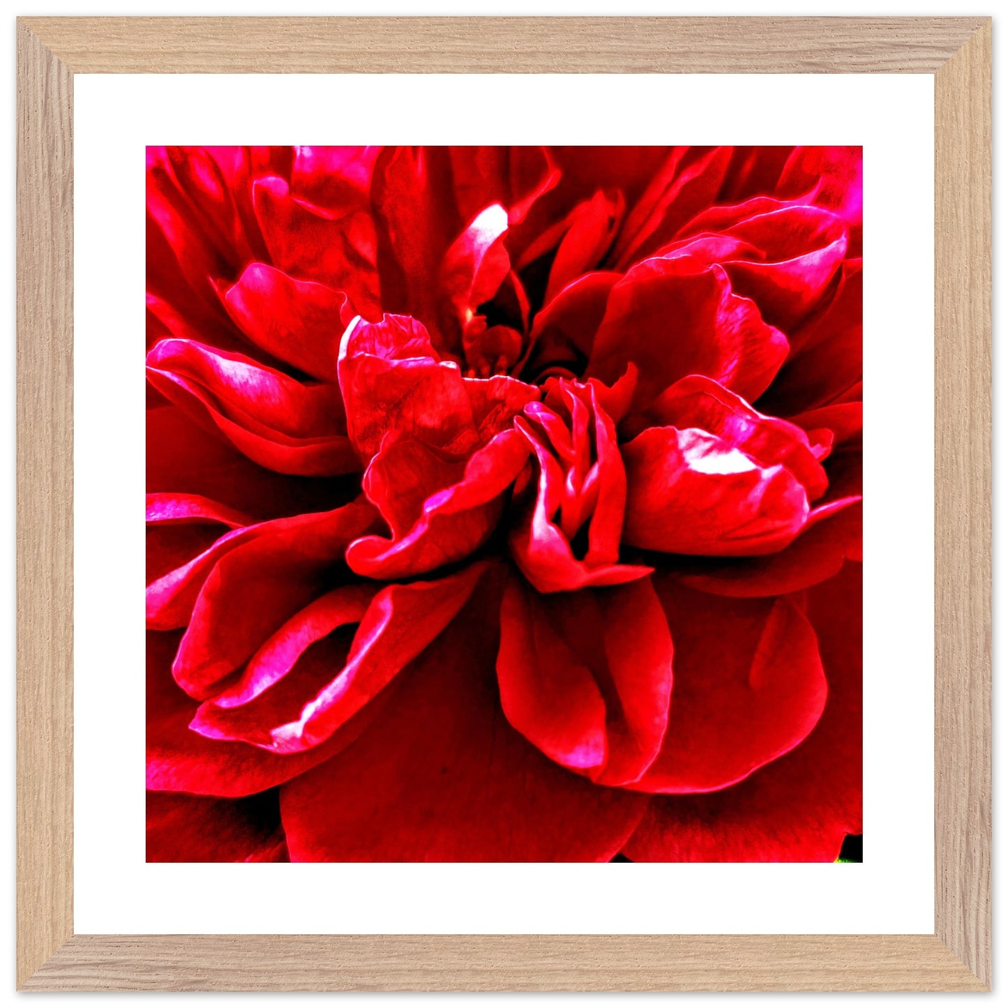 f047f695-0dc9-42e8-880e-1f8ed389dcbd