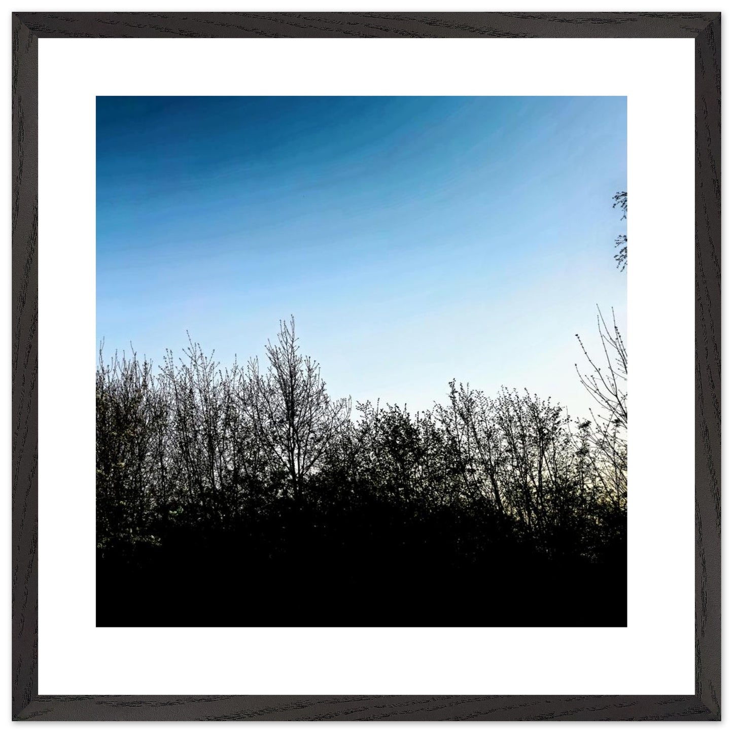 0641932a-cdc5-4841-b4f1-77eff5a3feee