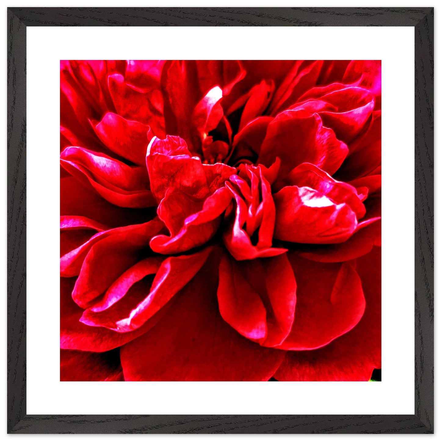 0660f612-d8a3-49d2-9f9f-f0b531ccea33