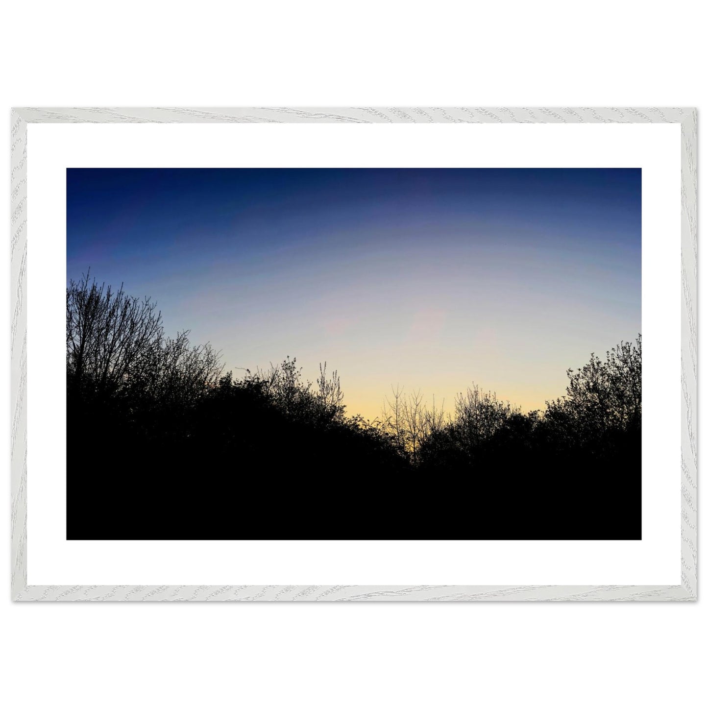 07563dd5-59c5-4b08-9068-3c397a9cb83d