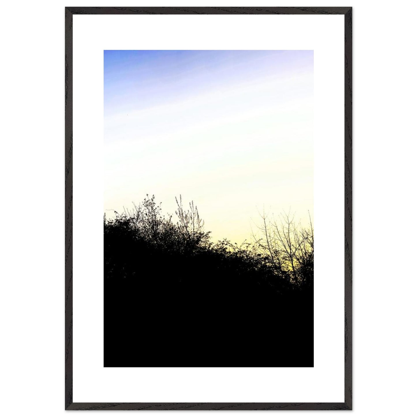 07ed7ff2-5e4f-4547-8d53-3c9dae9a3367