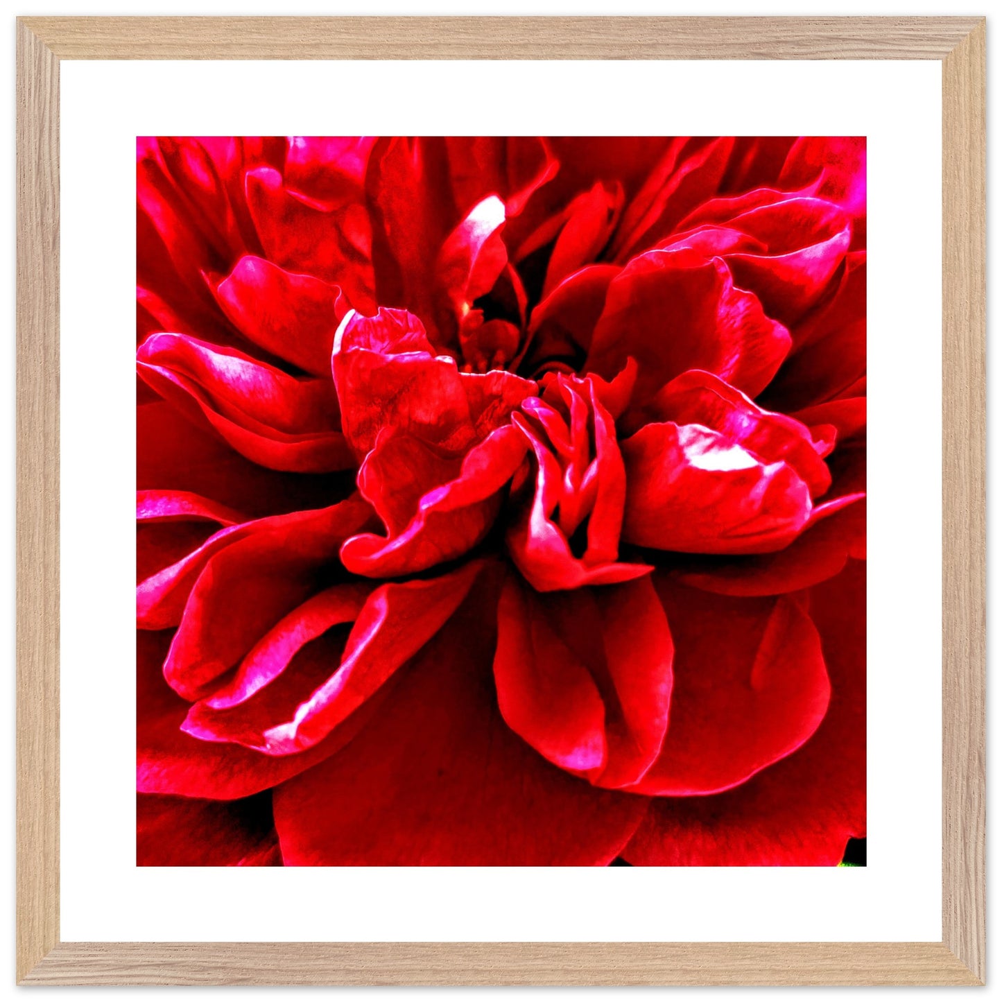 098773a6-e25b-4c7d-a203-c48f7888b38b