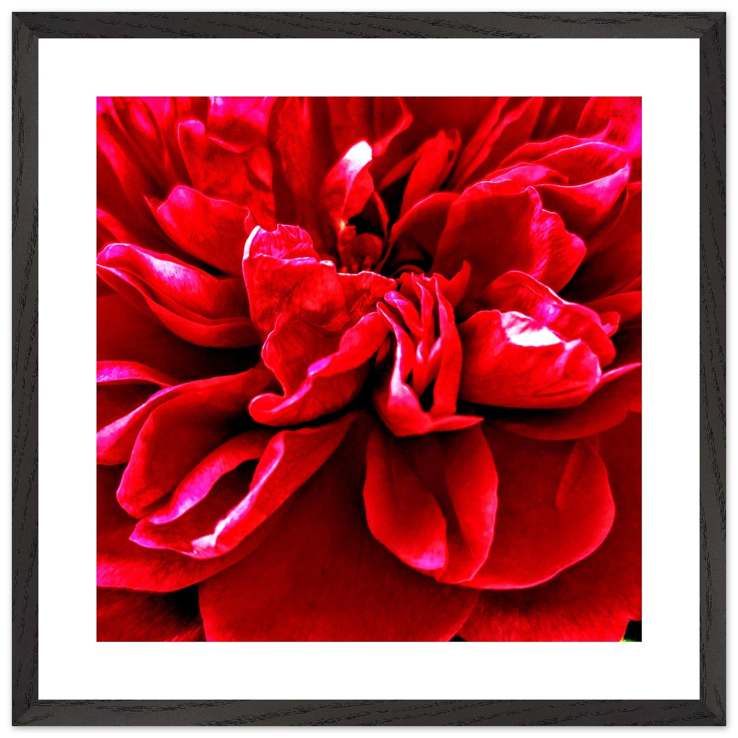 0b8e140f-f55a-4def-898c-338ab0577fae