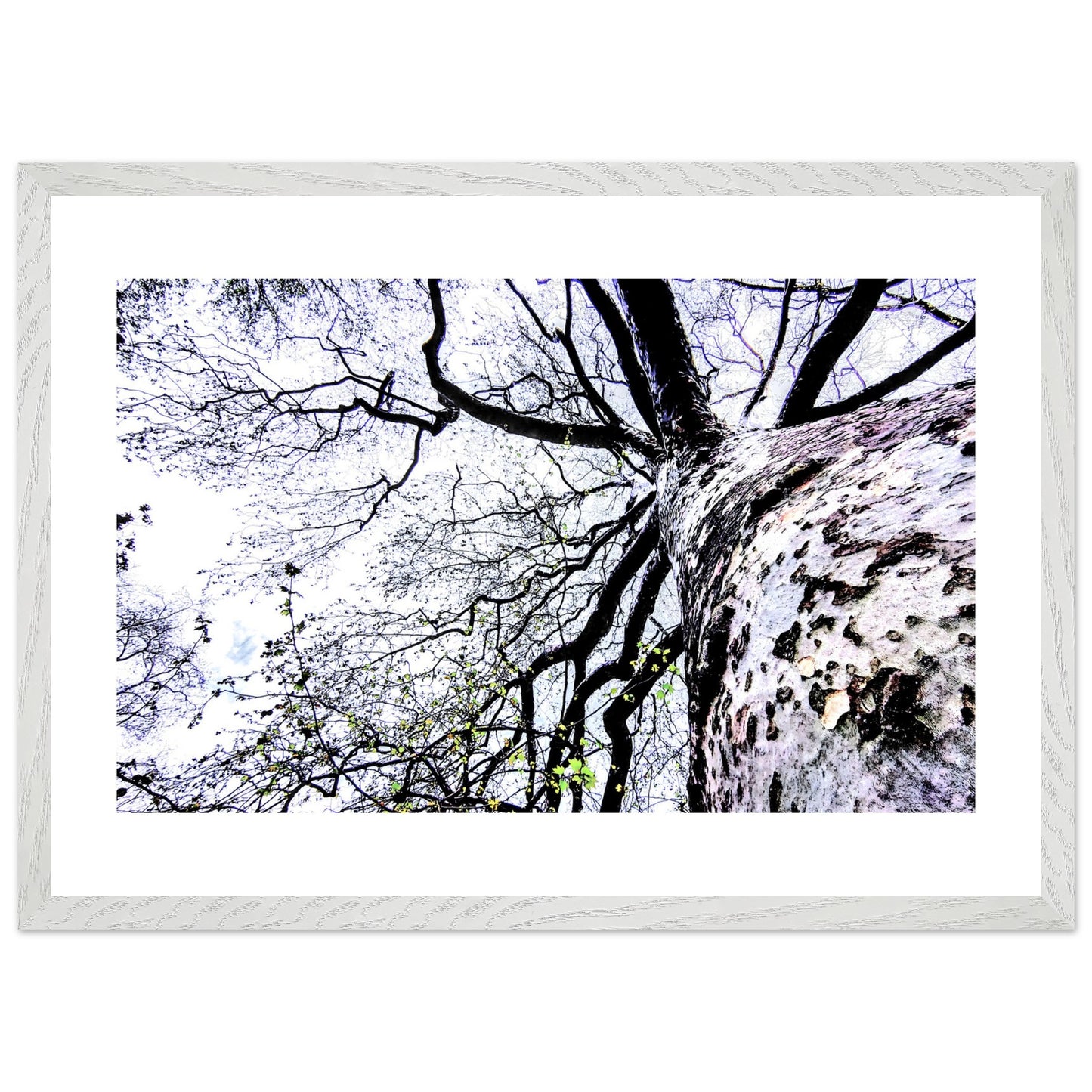 0c4dab45-d8d6-4817-8008-44bdd3114b2b