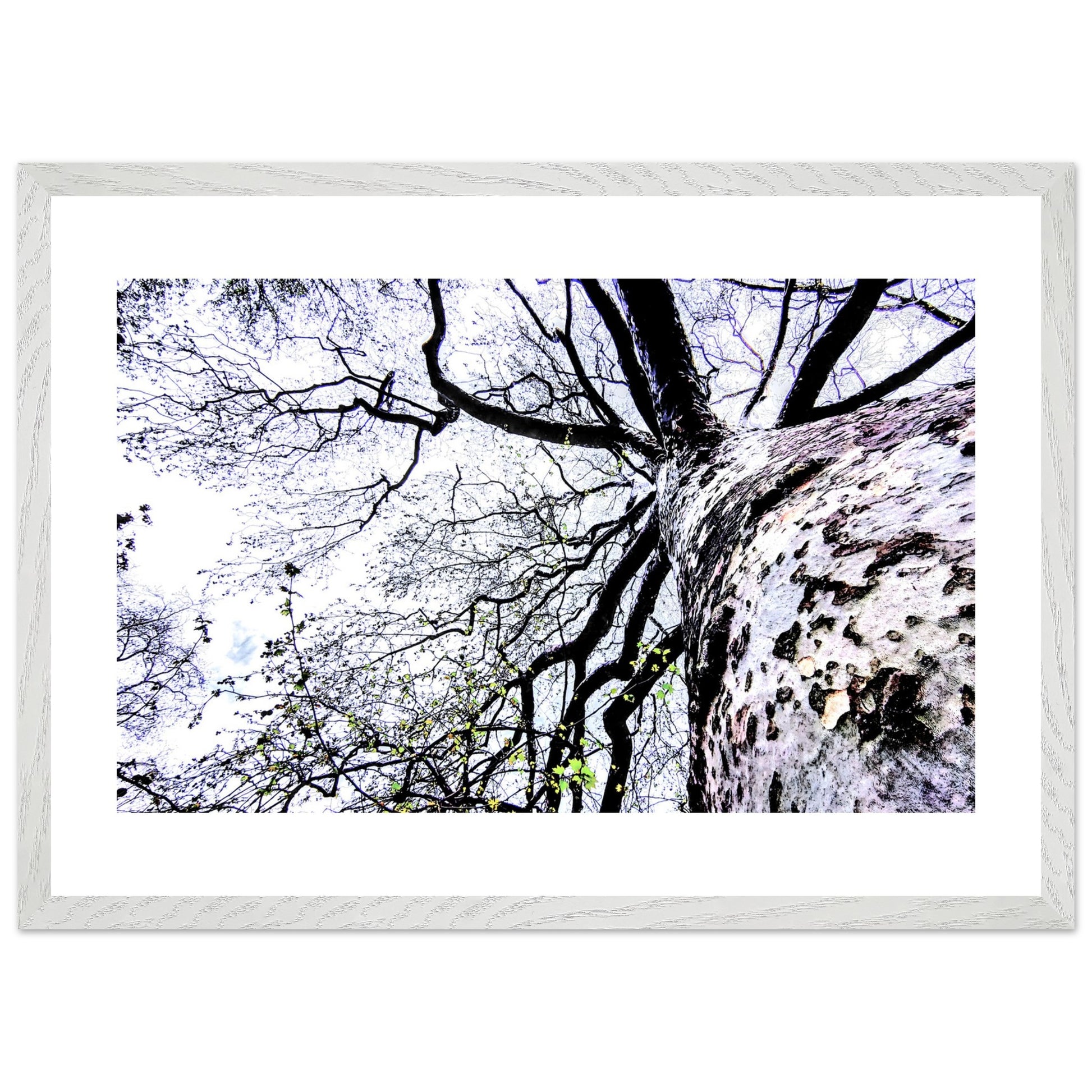 0c4dab45-d8d6-4817-8008-44bdd3114b2b