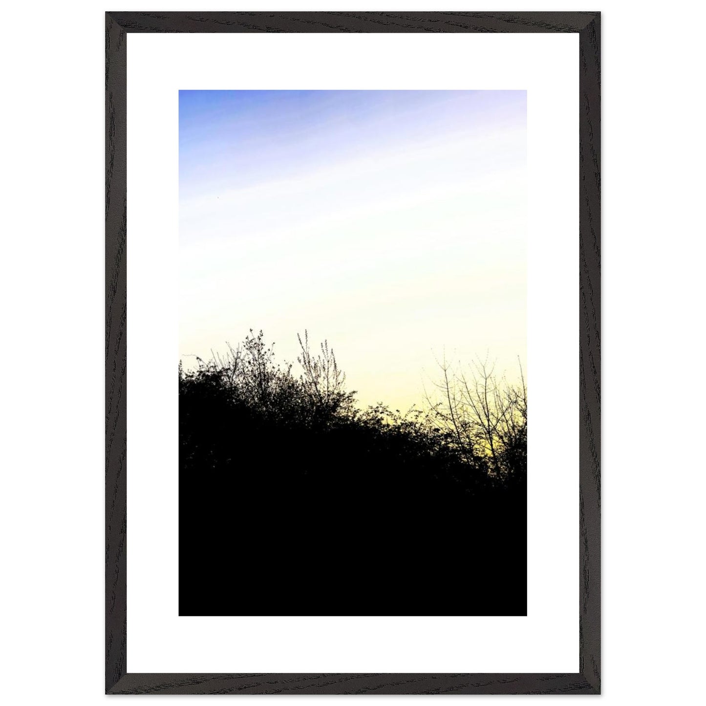 20f8d8b9-df90-4794-8390-e3374d8ea77d