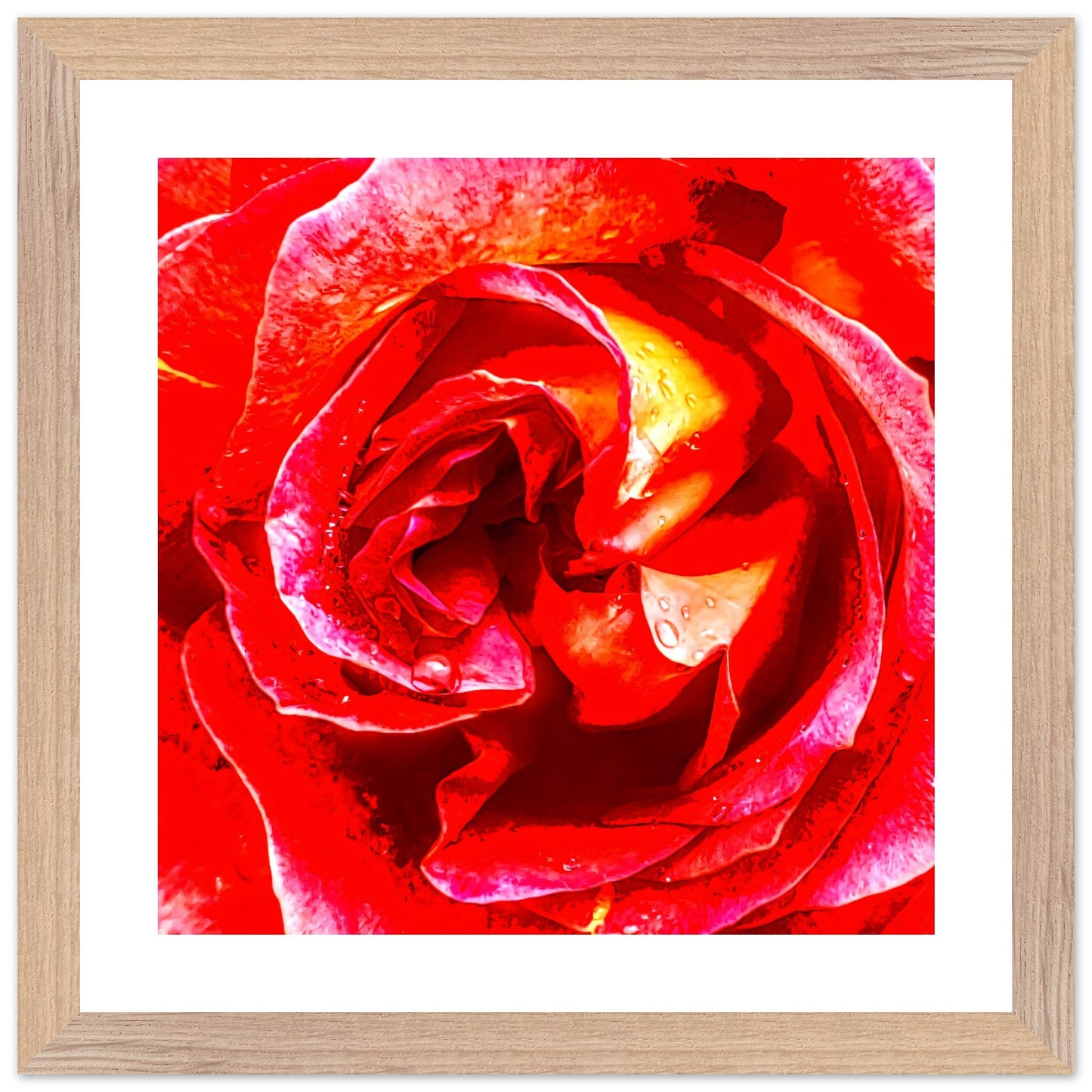 2493b9e3-0a4f-4815-9ae5-0550ae8a8643