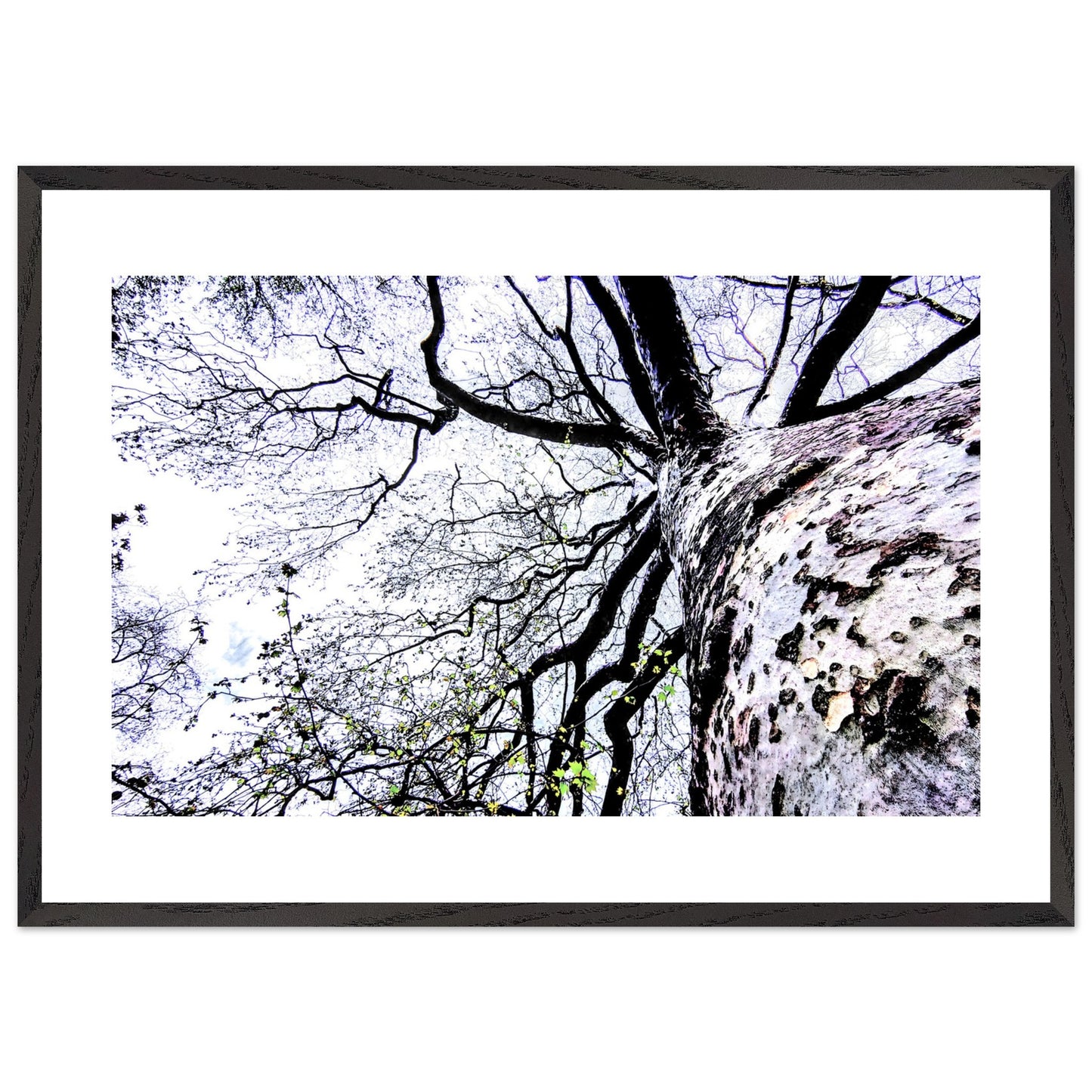 29730e2b-8265-4373-b0e0-6595b0034c7c