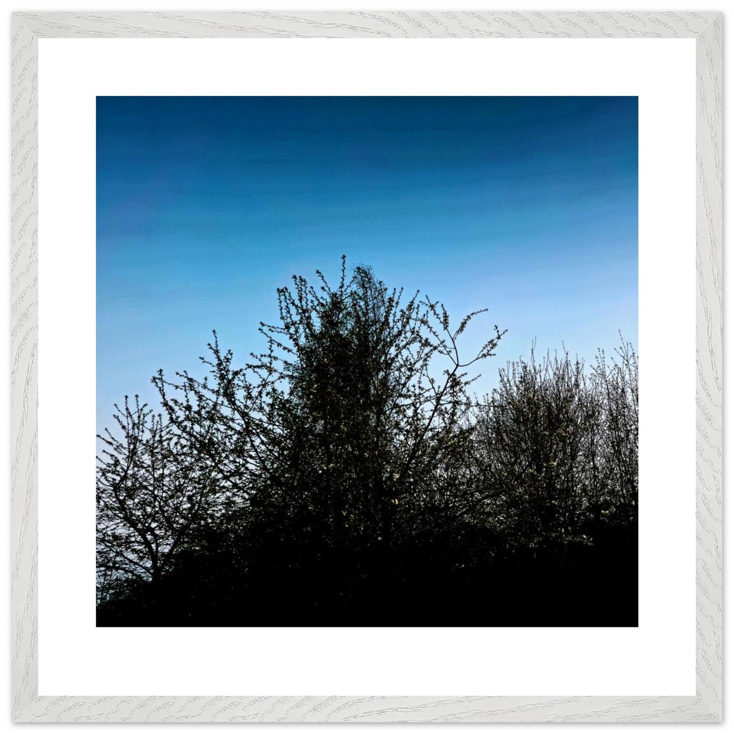 2dc2a801-6104-44ab-a102-a4bfc3a2669b