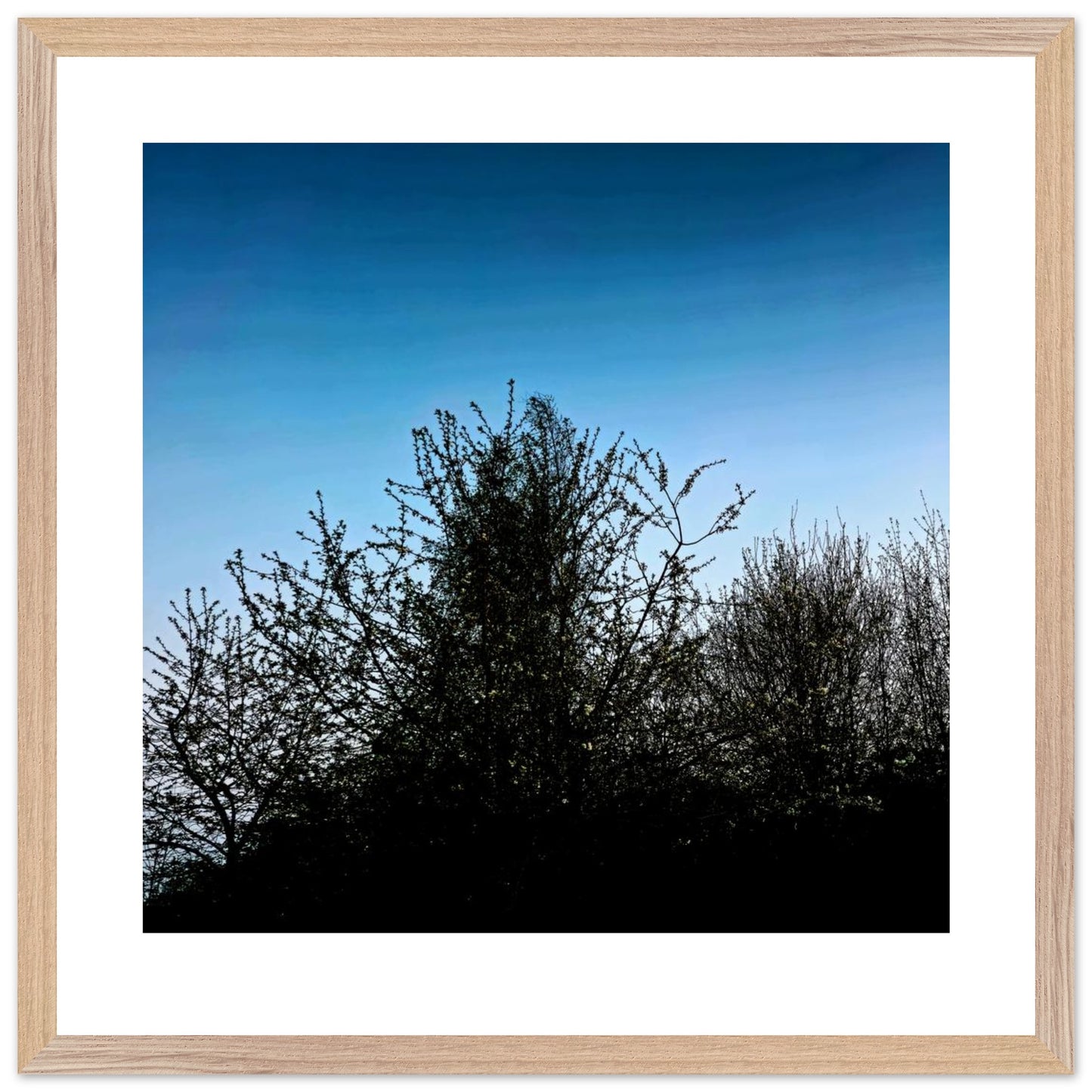 33fb622c-f0cd-42f1-ab1e-e8fefa6b9701