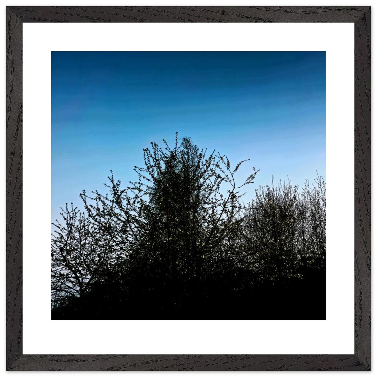 353859e3-e152-4ef8-a006-b3aa6f0a1397