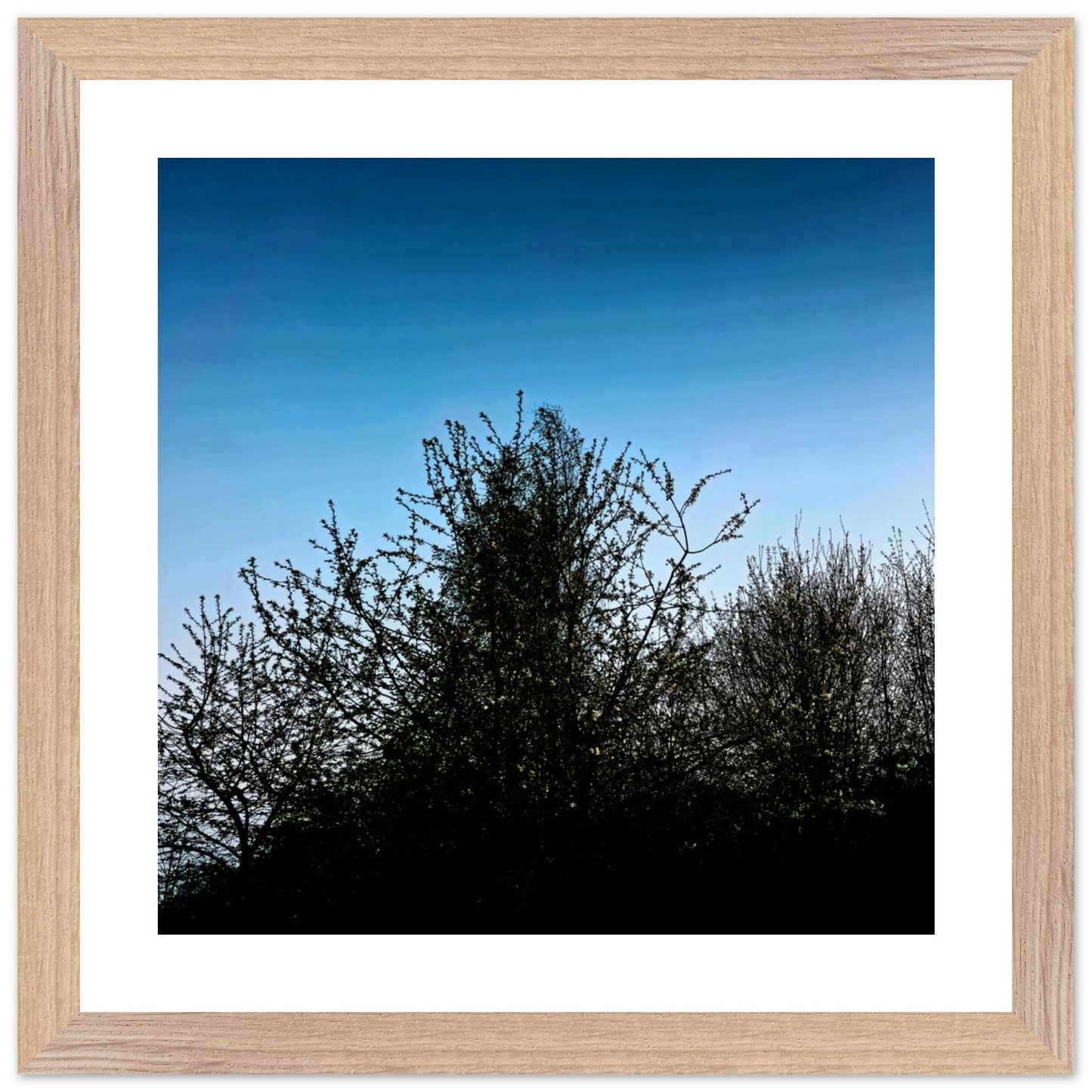 371455e5-0ecb-4101-bd96-ae8debb5ea11