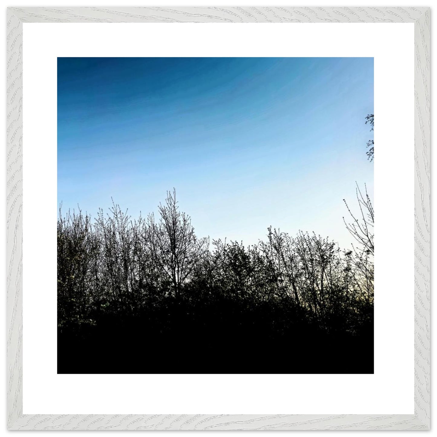 3ee7bd10-c387-45ac-912c-a9696ee41117