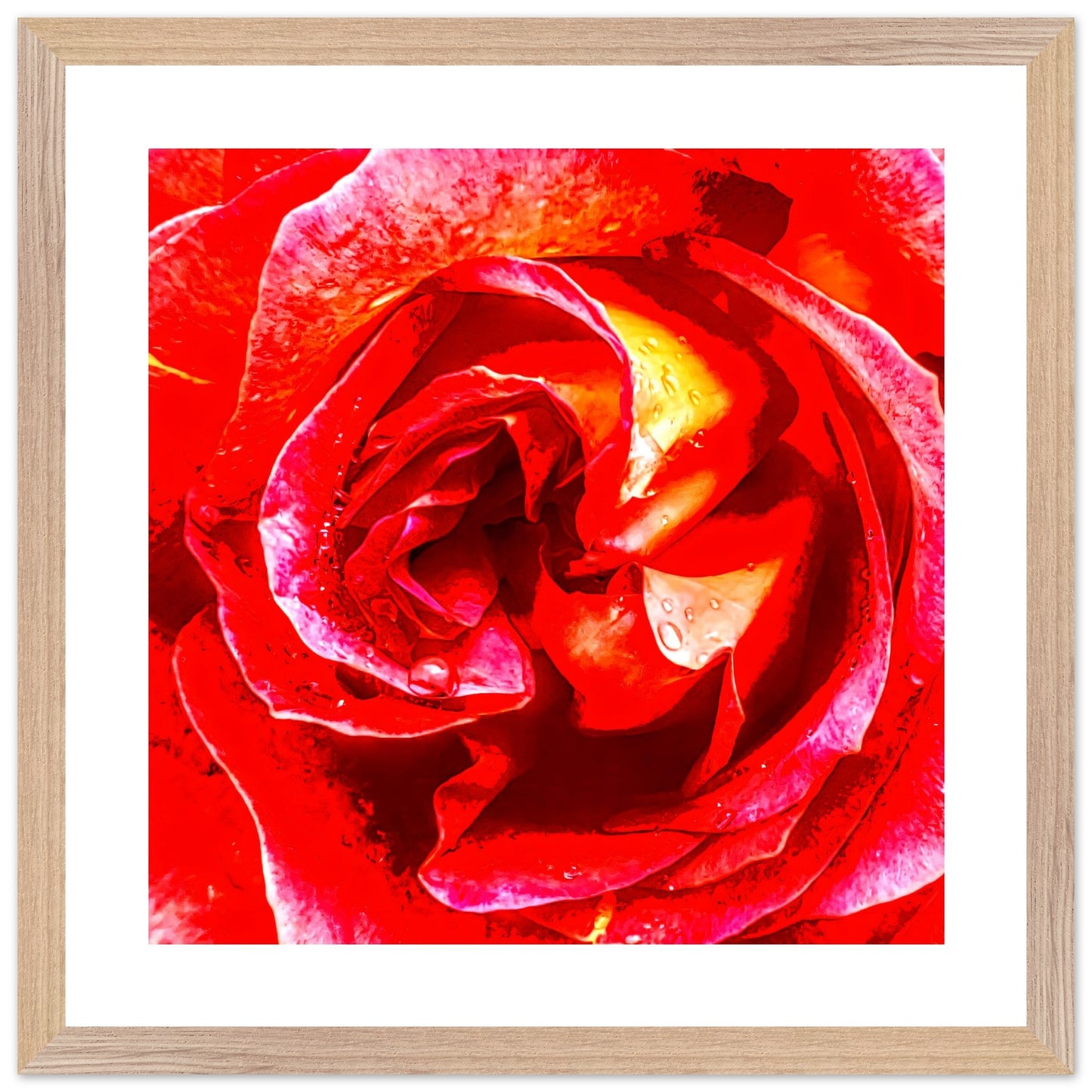 418853fe-1d3b-4dd4-9828-098941c5b2b9