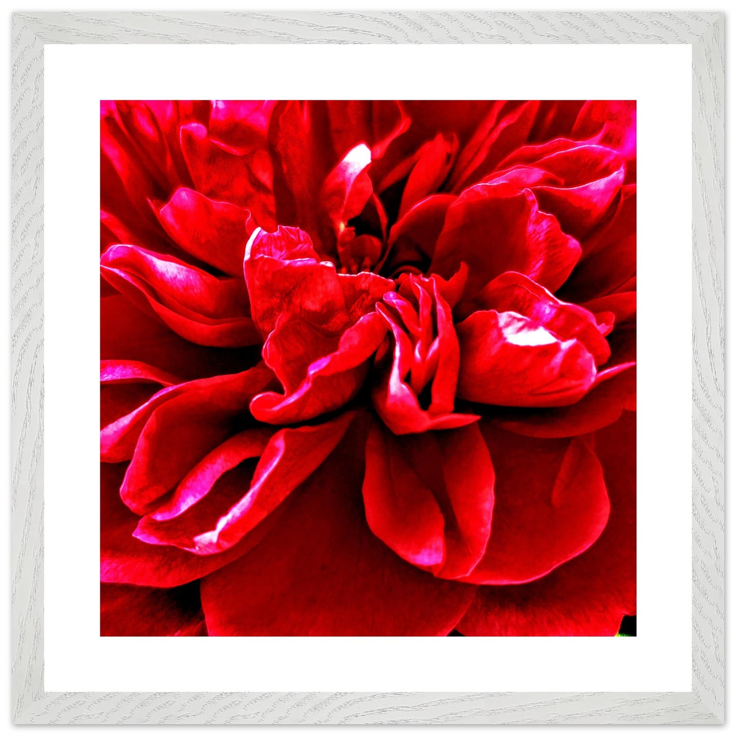 41a0ded8-9232-4ffb-96a2-ce46602c4248