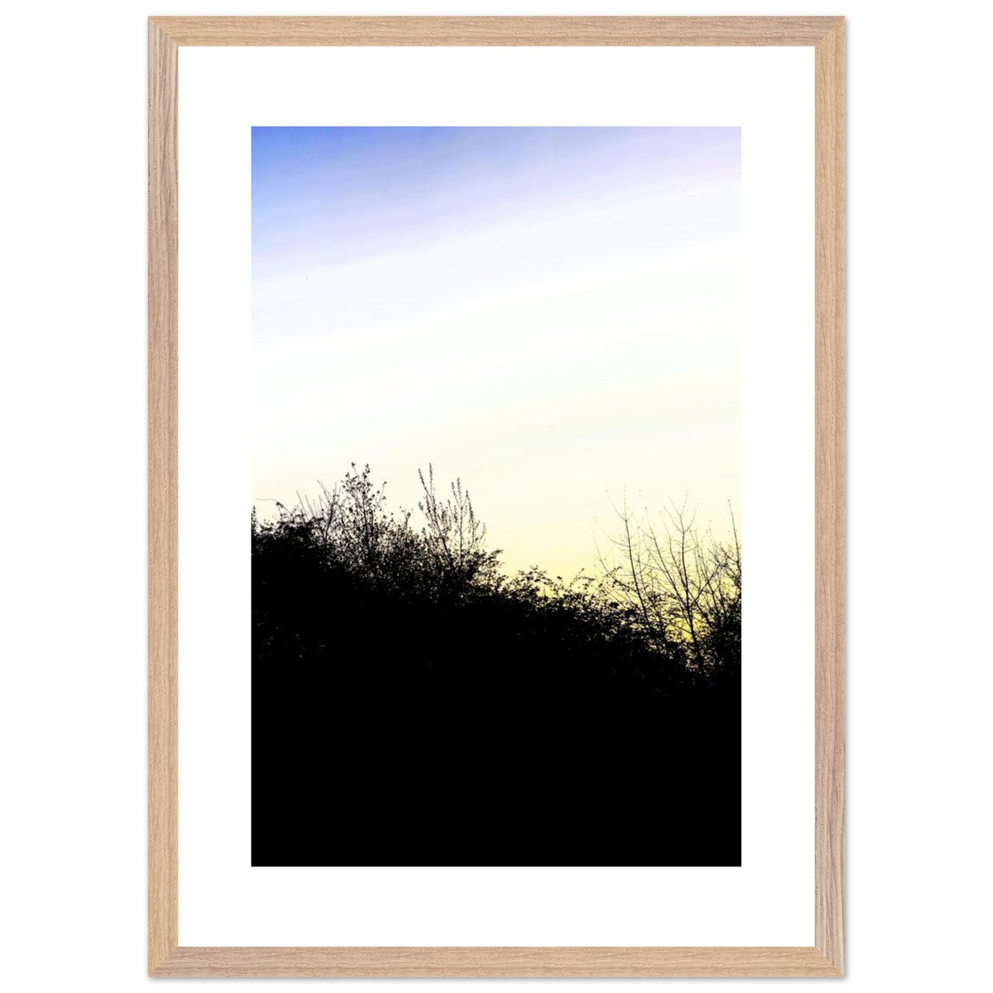 5016d2af-8ed5-43da-9b41-7d3d3f092fc1