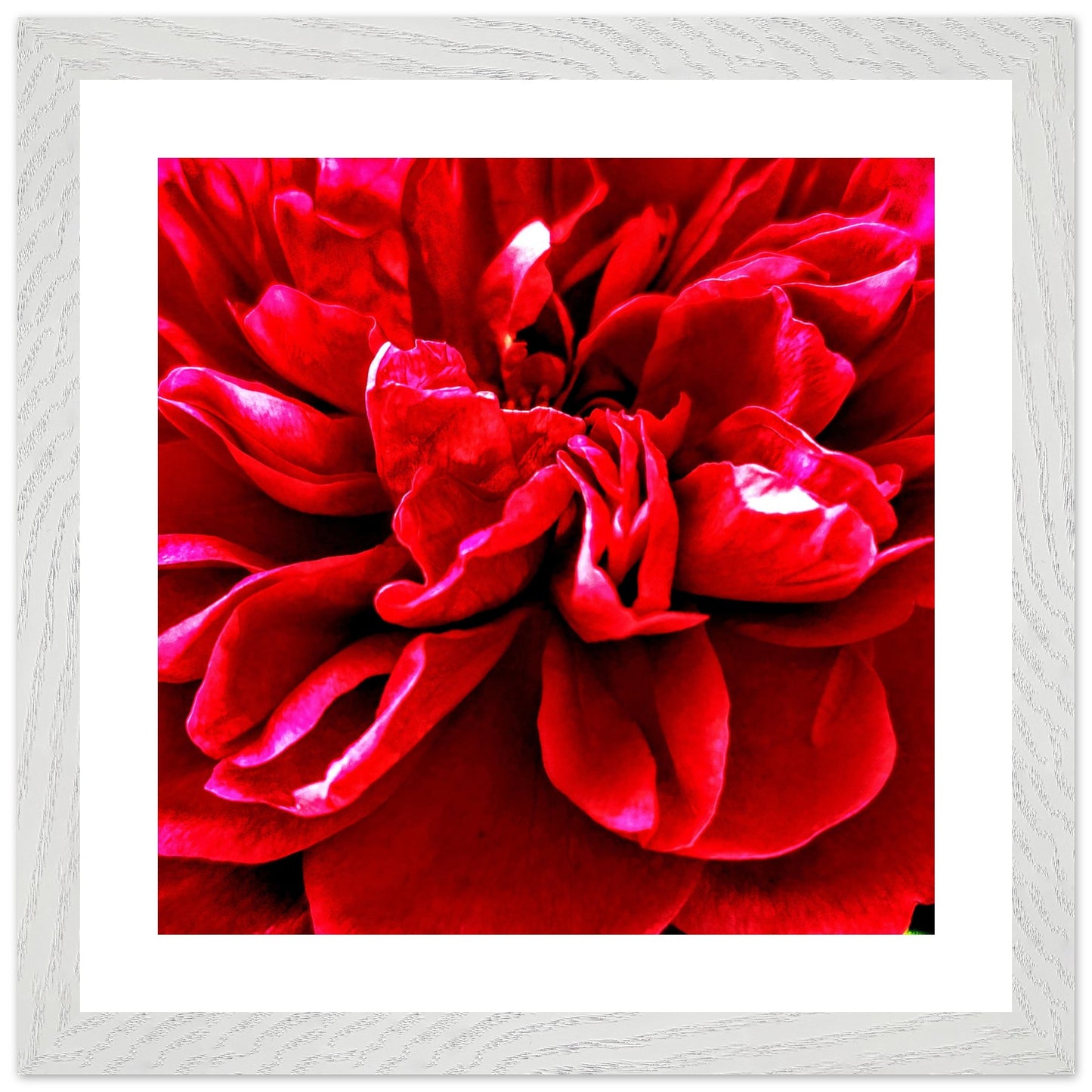 5ac23efd-49ee-4801-b17e-0a4d26986f41