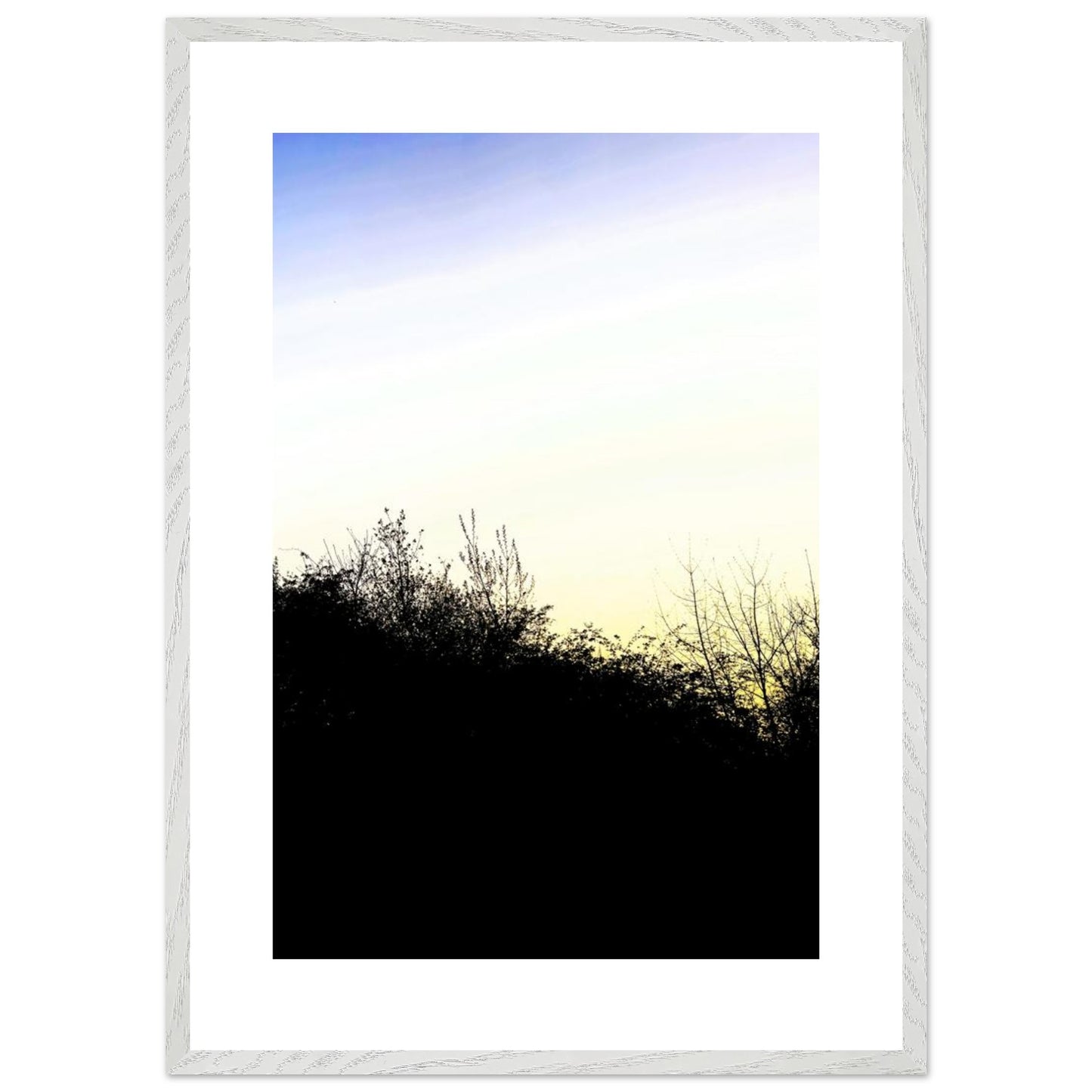 5d146dfc-f005-4bc1-b45e-304da95636b6