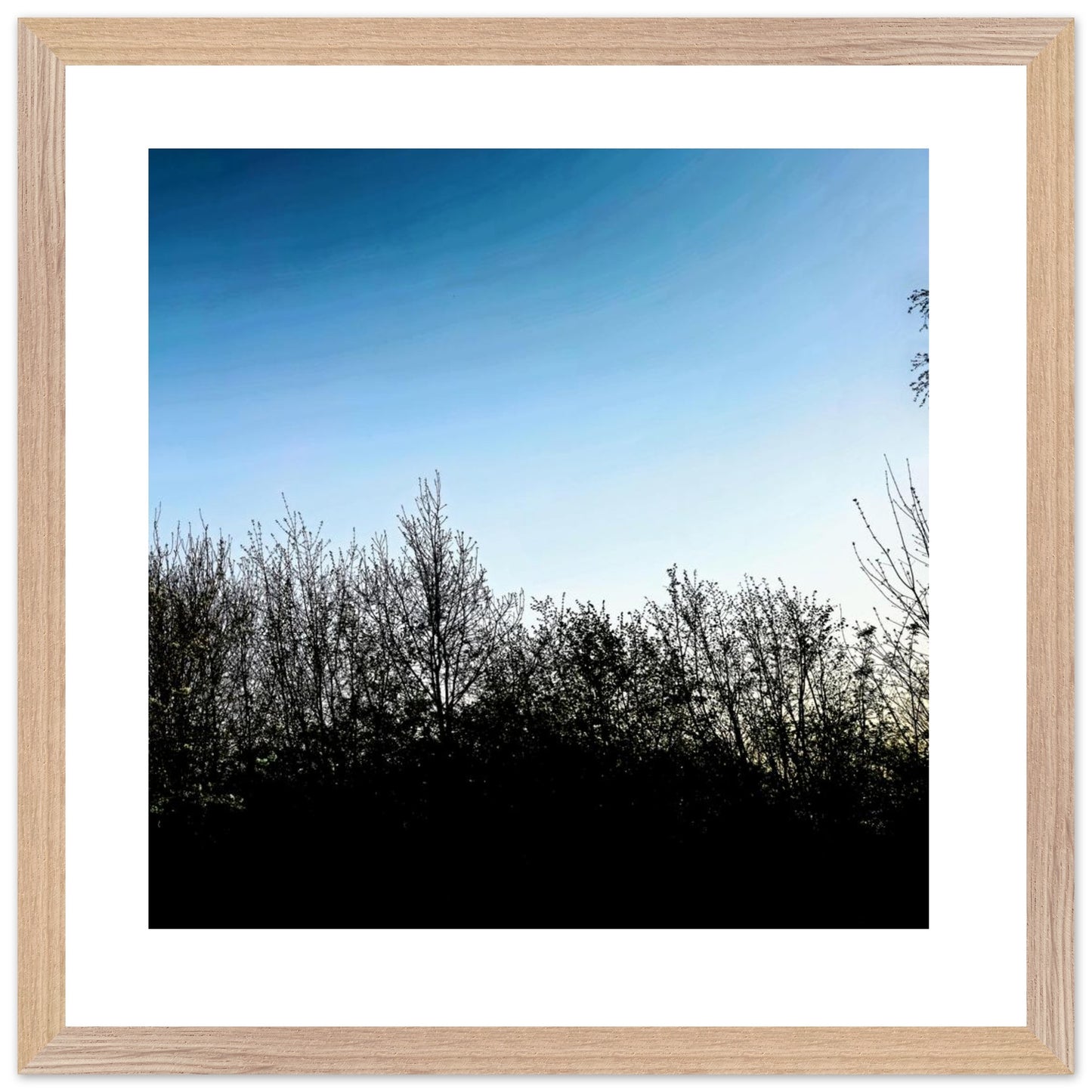 689613e1-e8aa-480d-83f1-b32874caa91e