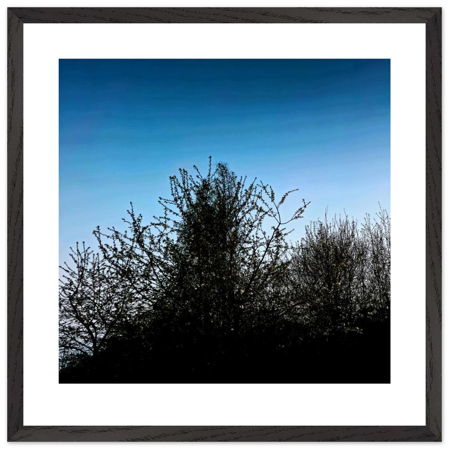 6d66f38c-2bb2-49e1-8f26-503575c53c08