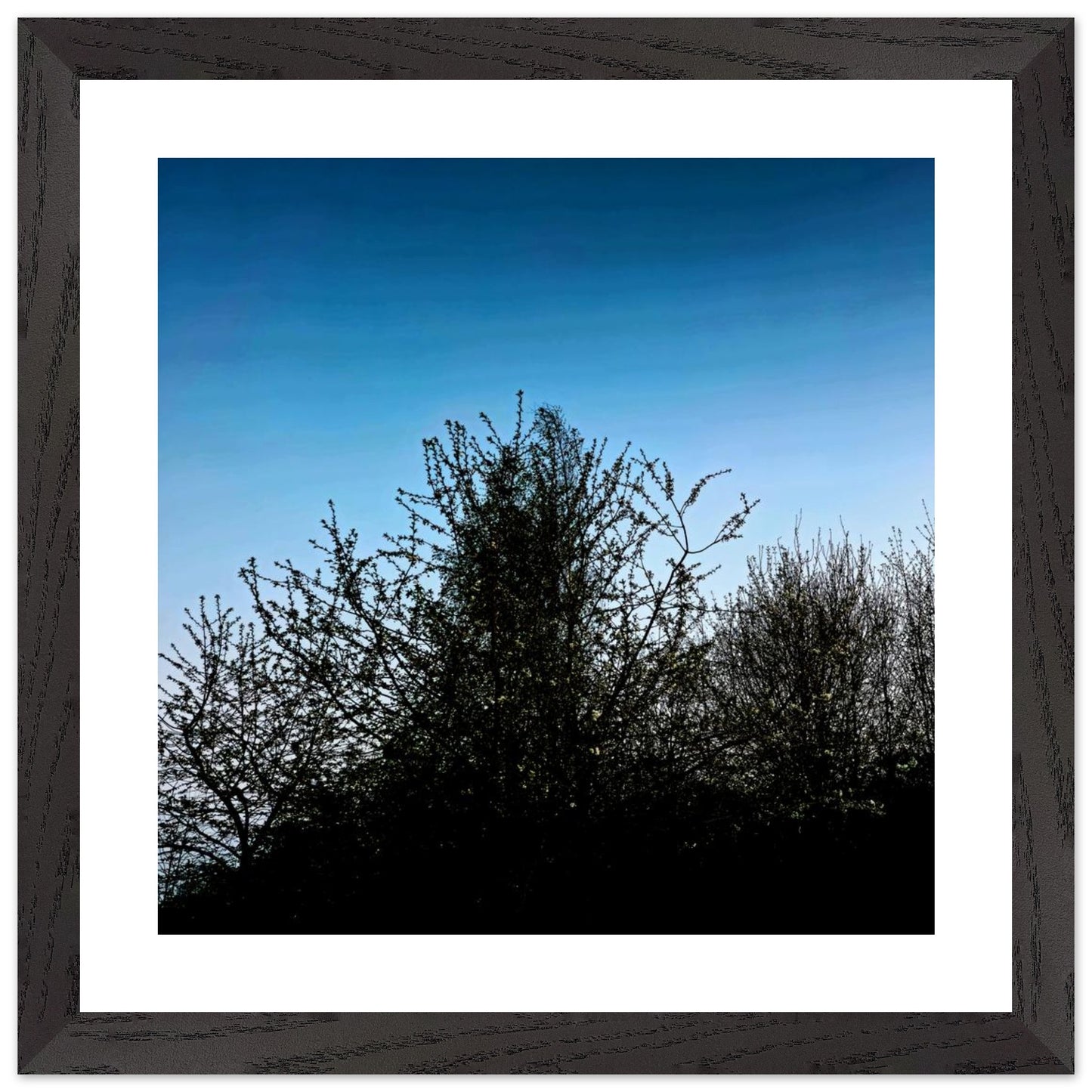 6e8b4e4a-fa1f-48be-8720-ba5fd72bd2a5