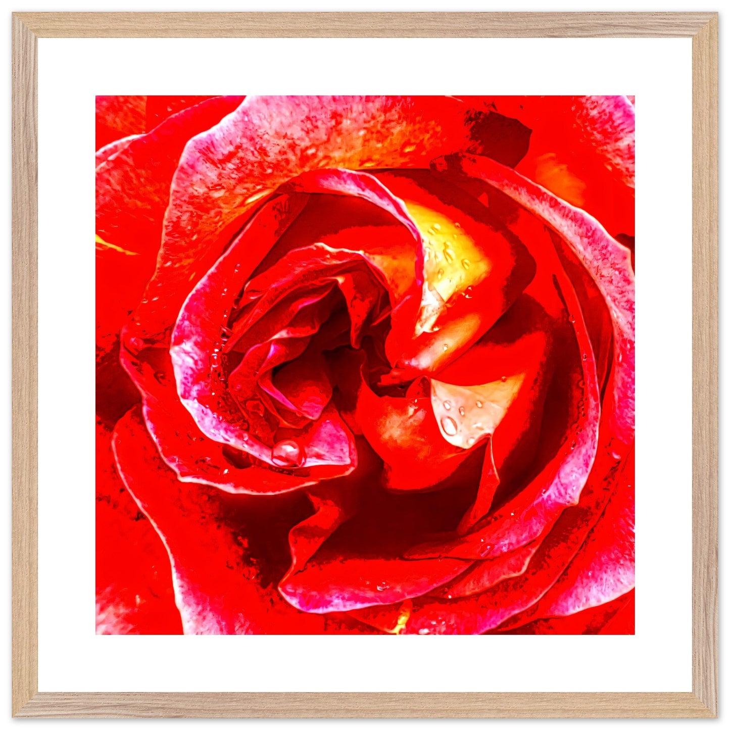 7571555a-0862-40a6-b80e-d1b8ca817ddd