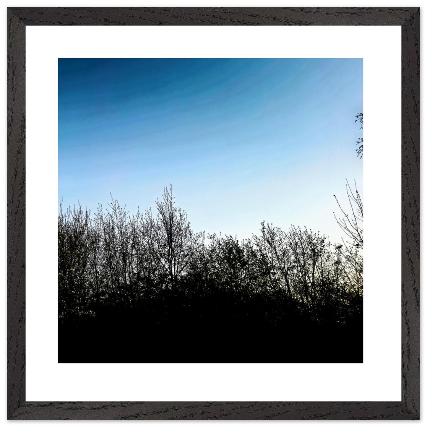 79571e27-d75f-4f84-a709-a08d24da1a47