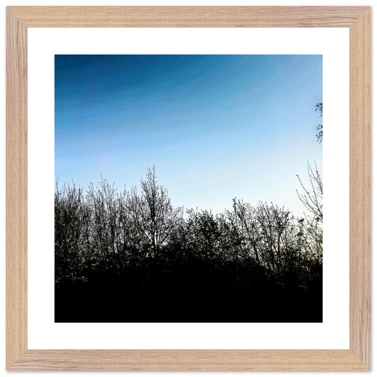 7bd50fcd-1682-4f9b-9e0c-9751f707b077