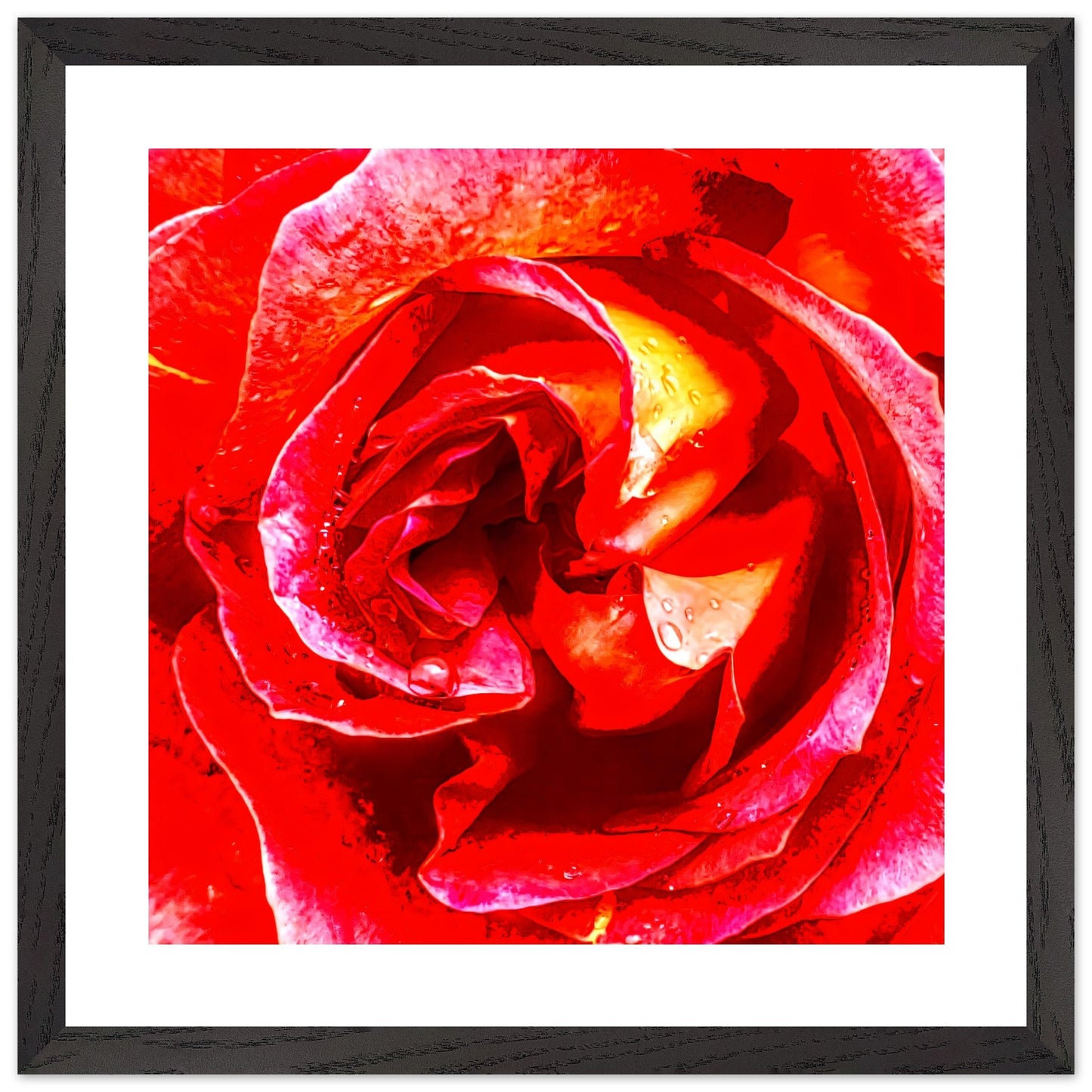 84d3bdad-ce2c-4cf5-bb14-cf249911ee47