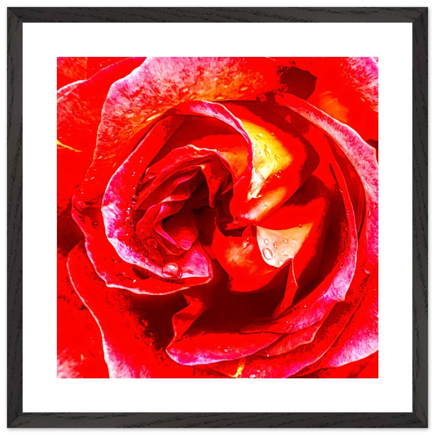 8be71651-d0f3-4e64-9279-b1ced71d755b