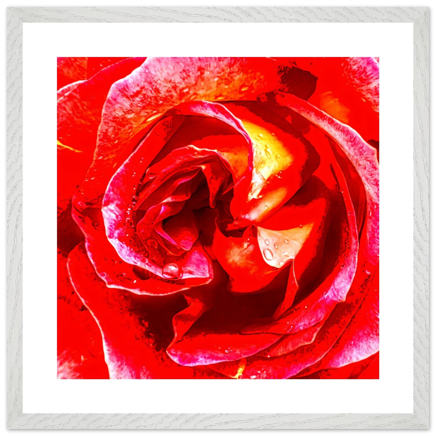 8d02d969-02d3-47a8-87a8-abebd0d26f87