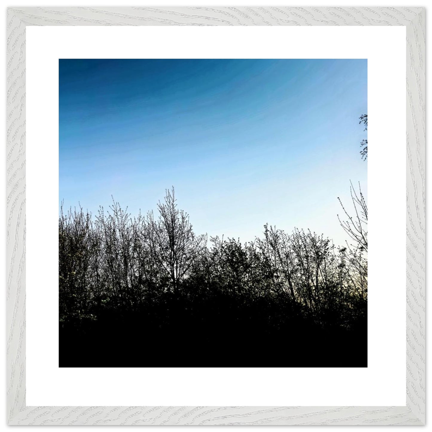 8e82cfe4-ccd8-440c-854a-41c4786c48cc