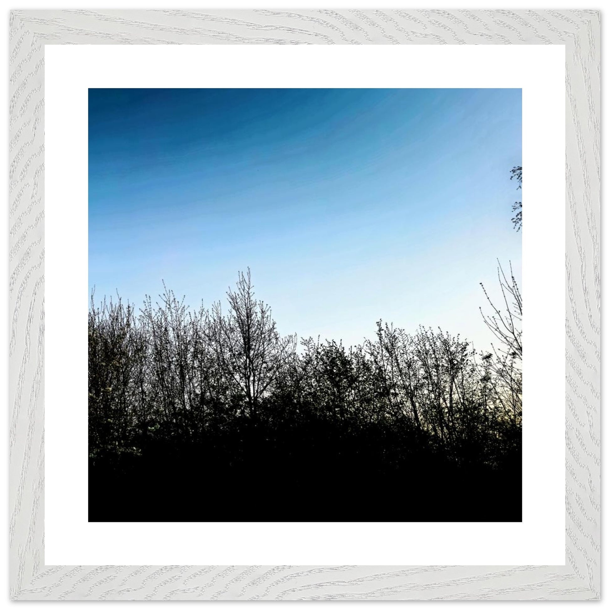 90f8cc2d-4c93-4a6b-adbd-0d1884498d8f