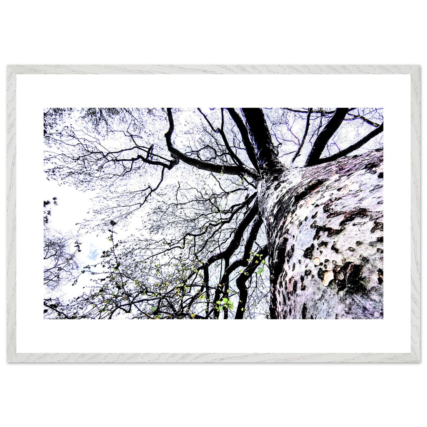 a1e70ccf-0013-4aca-b3f2-f54f65ccddf3