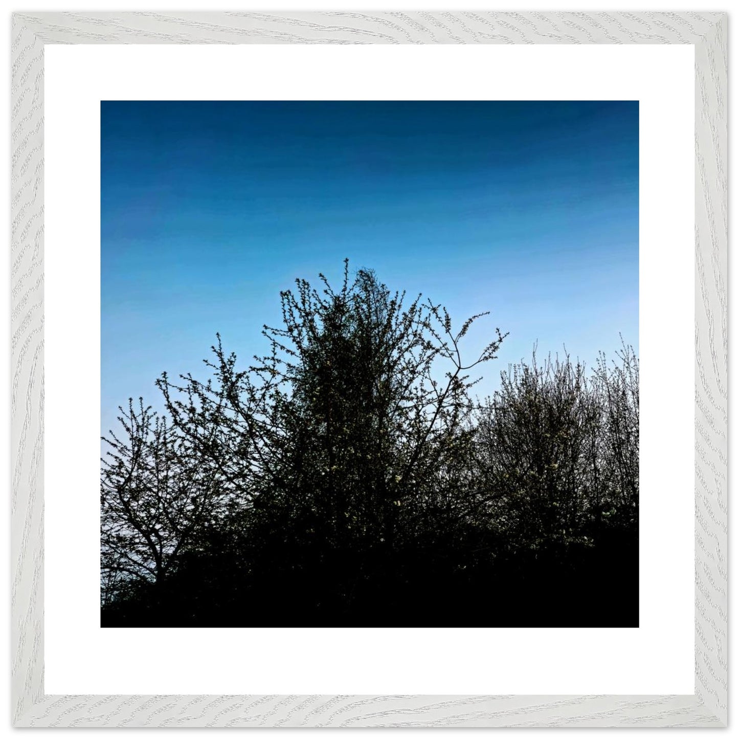 a635f81d-d60e-4691-90e1-06643d7f22e6