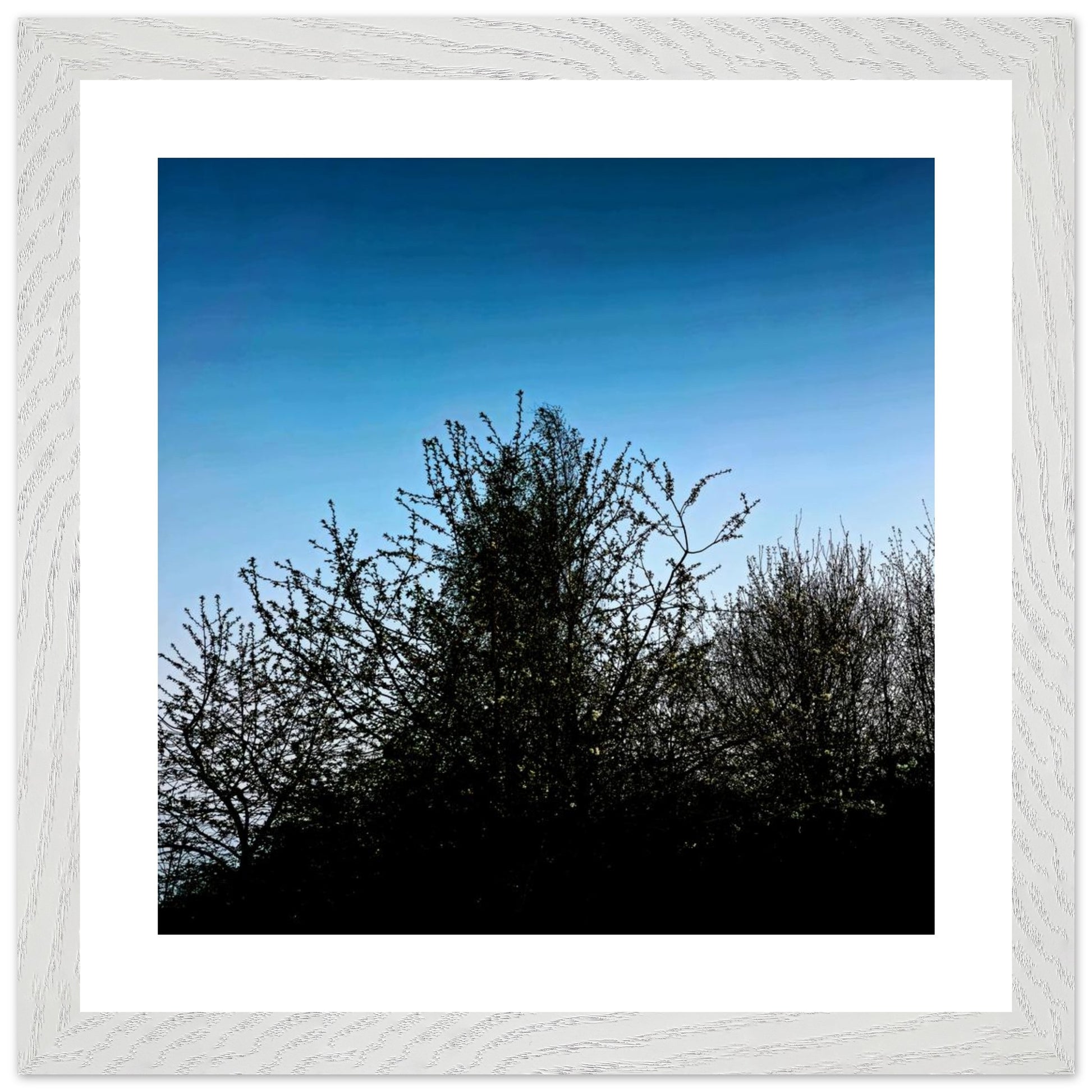 aa707c7c-5d81-4c8d-acad-0383d24e5dcc