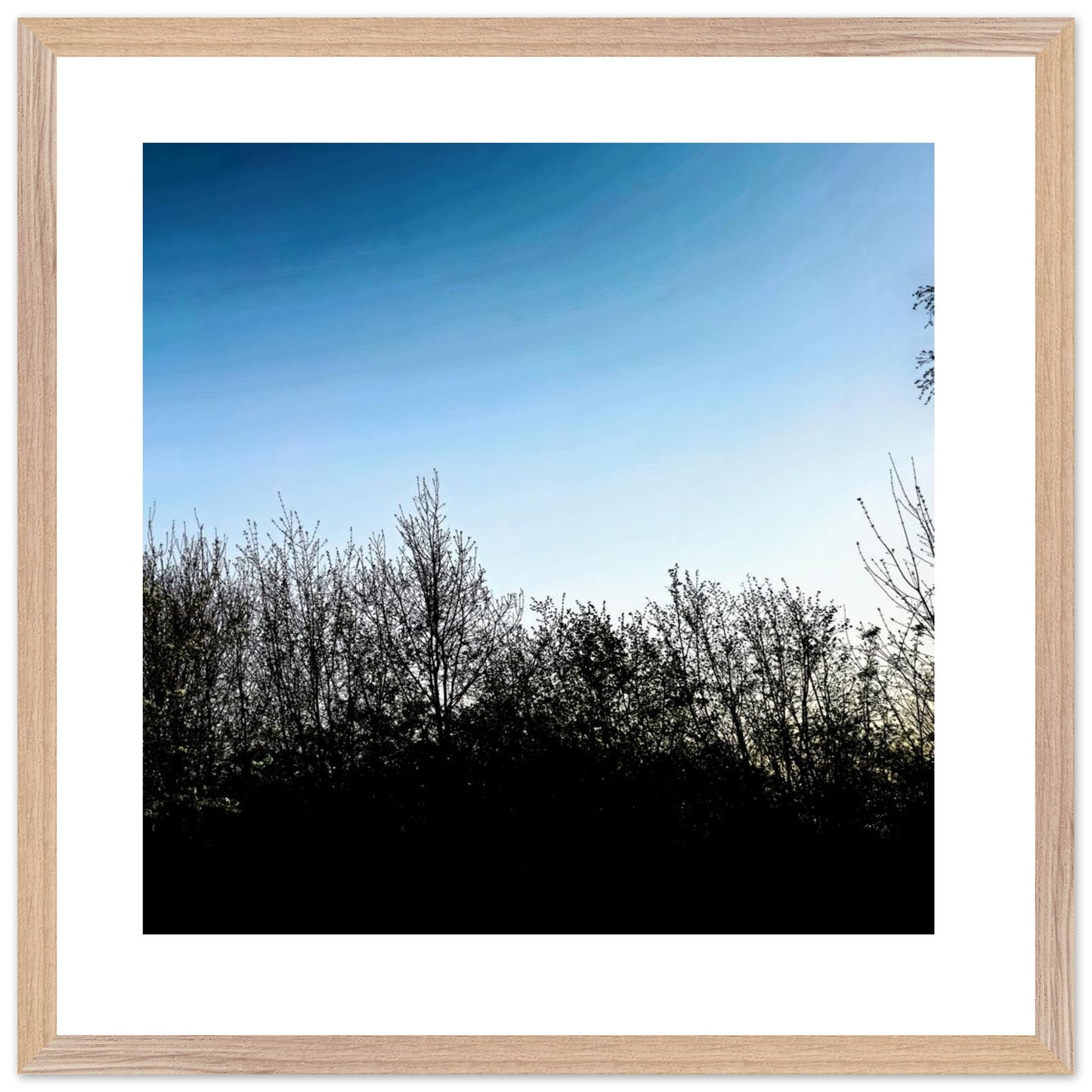 ae1d5528-1308-4cdf-bff0-ff8b83713bc3