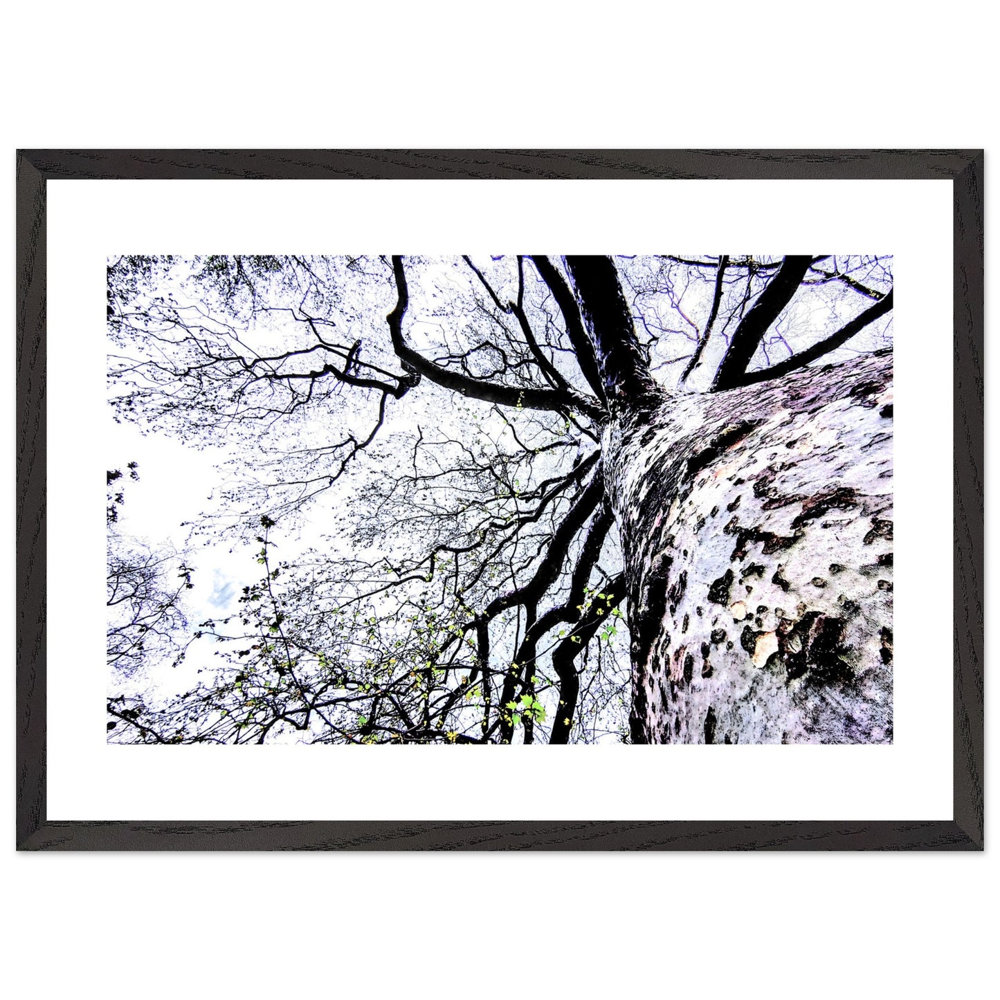 bce88993-28fb-46e4-8786-e4a712f9c289