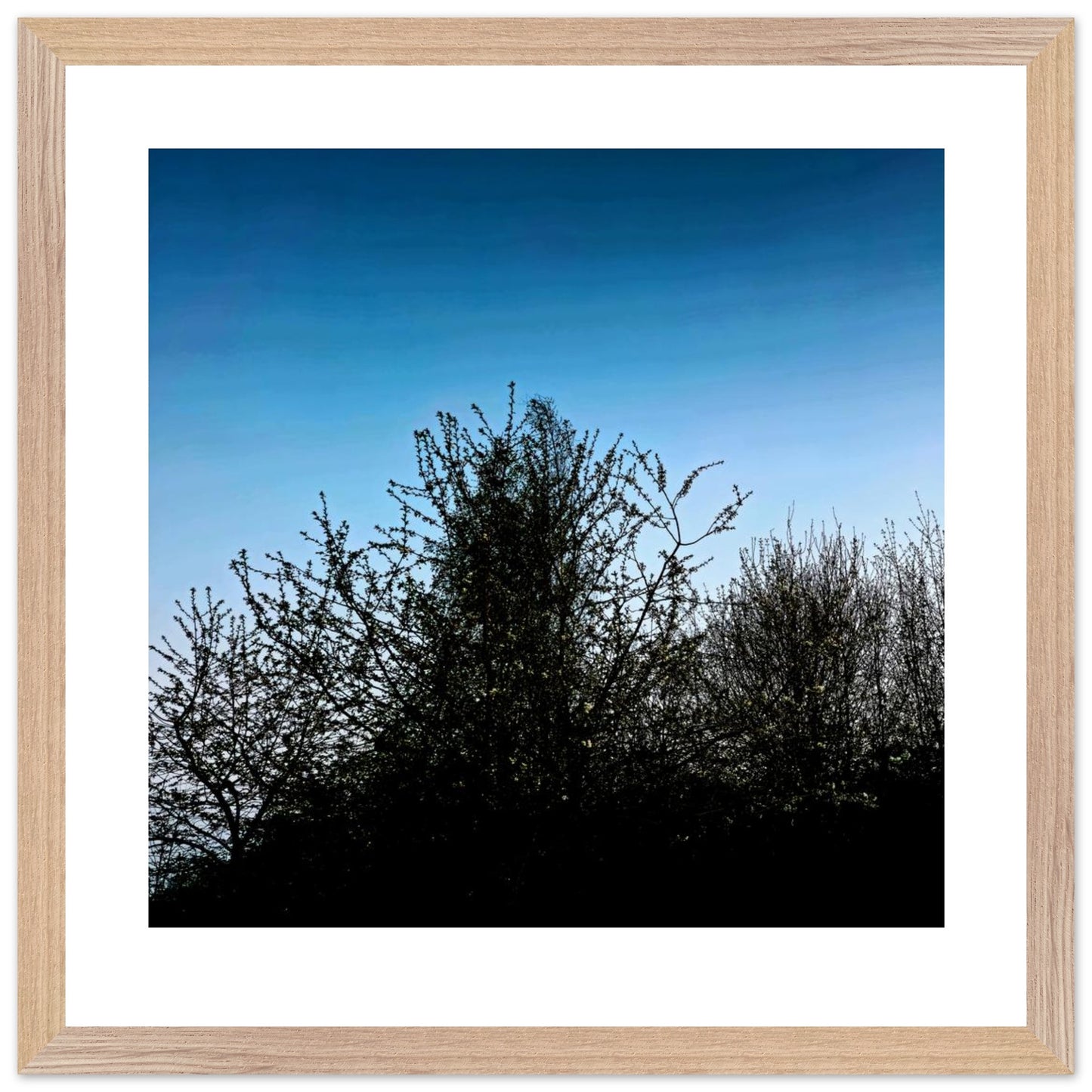 c11e3247-14a9-4940-9182-5f13d709465c