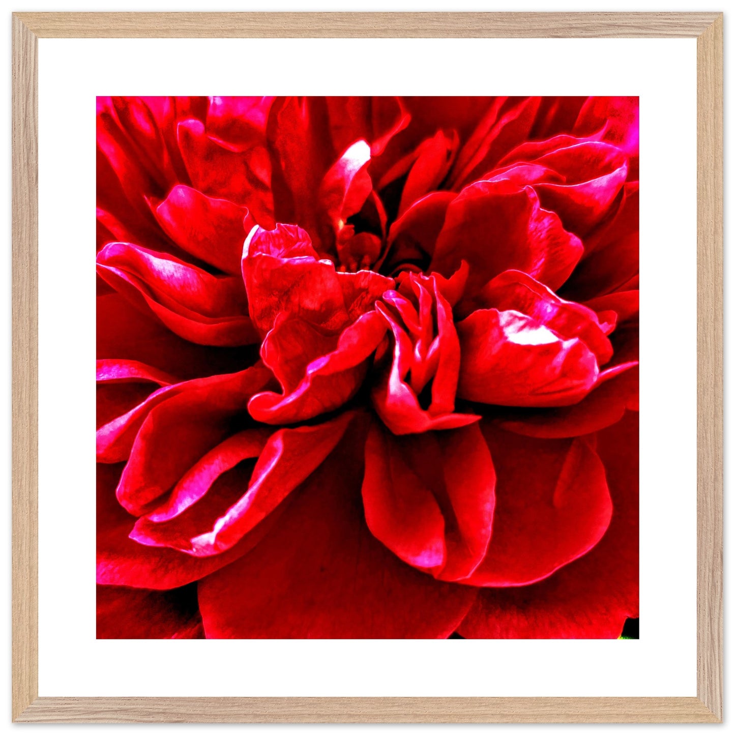 c3c43045-1310-4ac8-a5f9-070efb8514b8