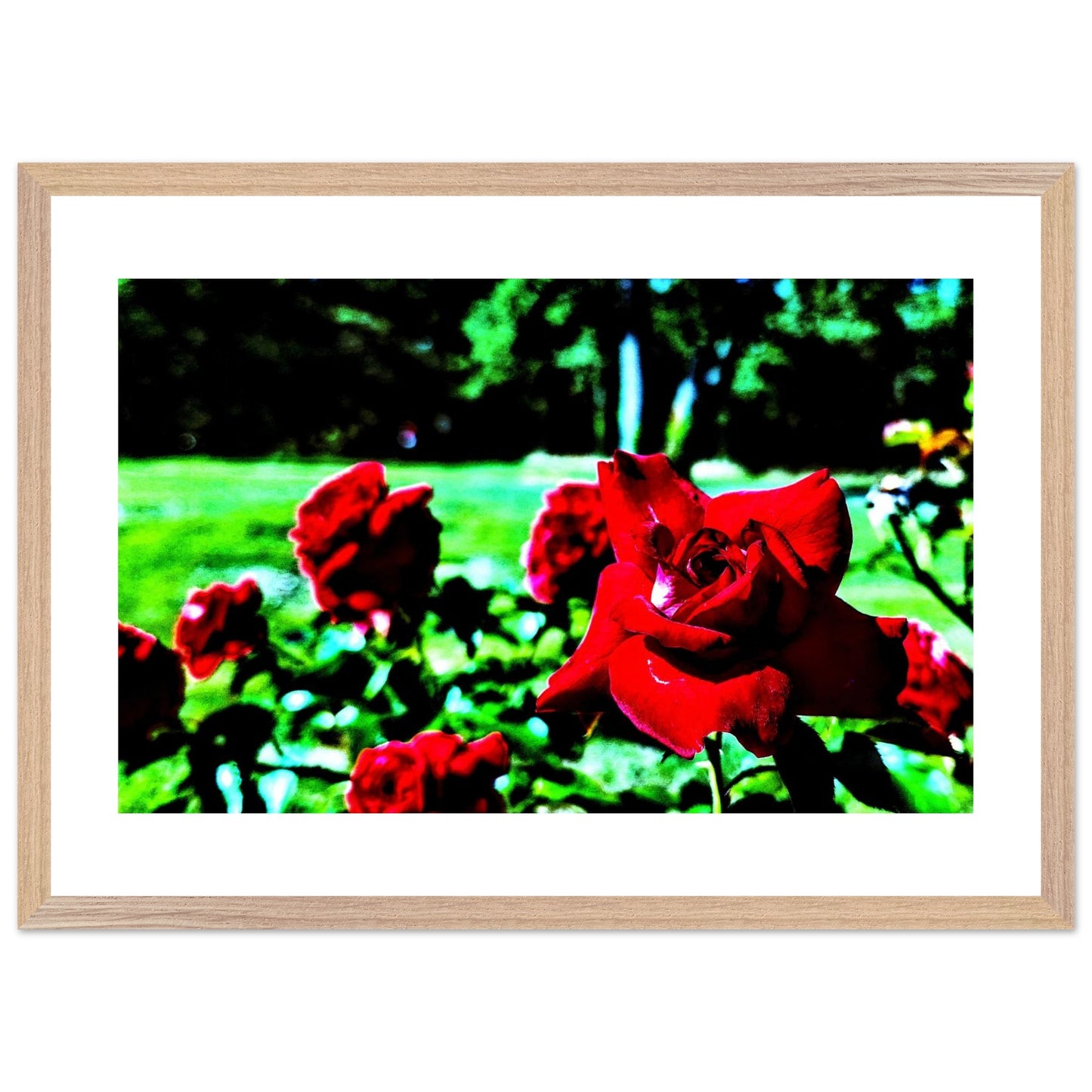 c70502c1-6d8f-4593-b6cd-156d68d6be00