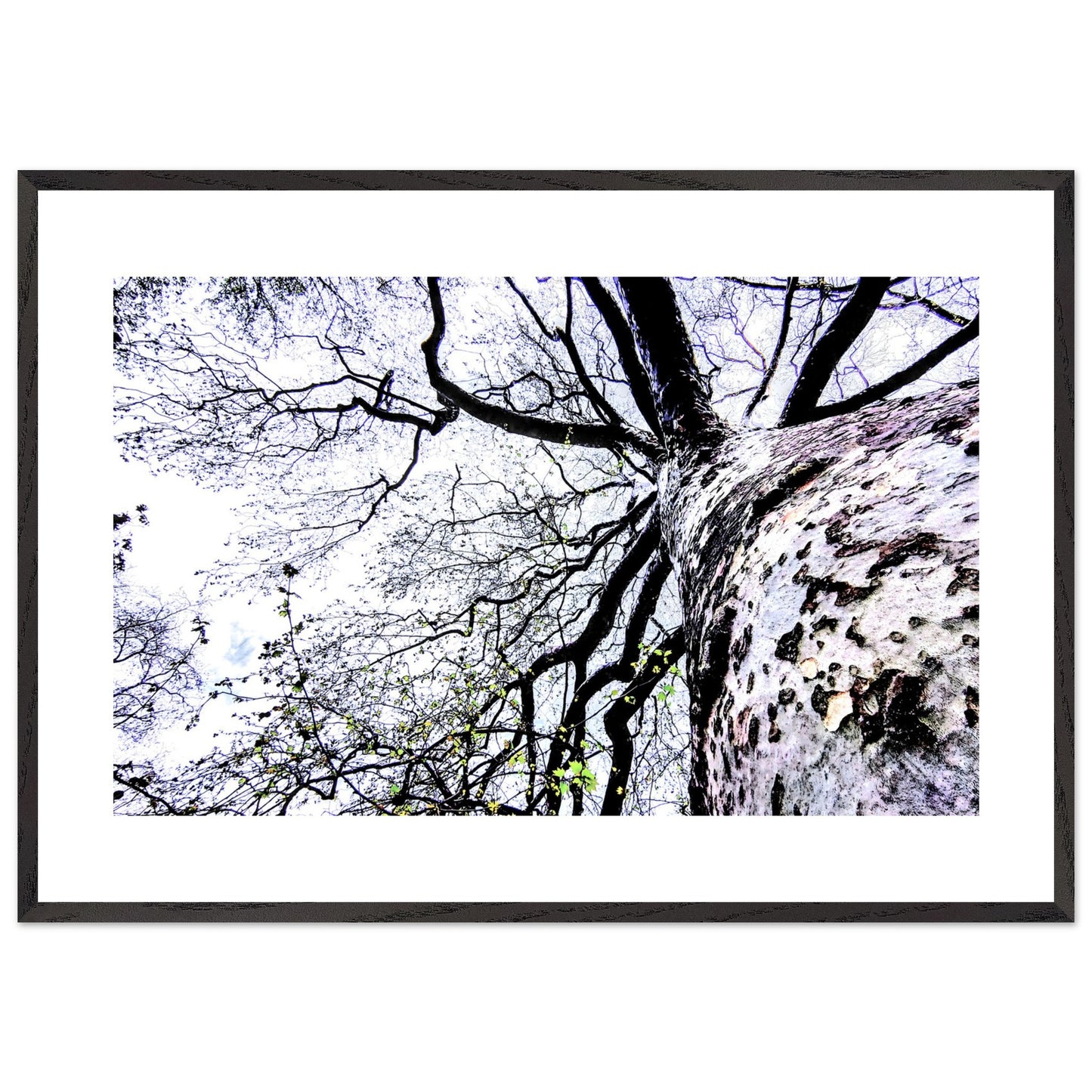 ce4e61a7-3f28-4d72-8ef8-1b9f356f5c20