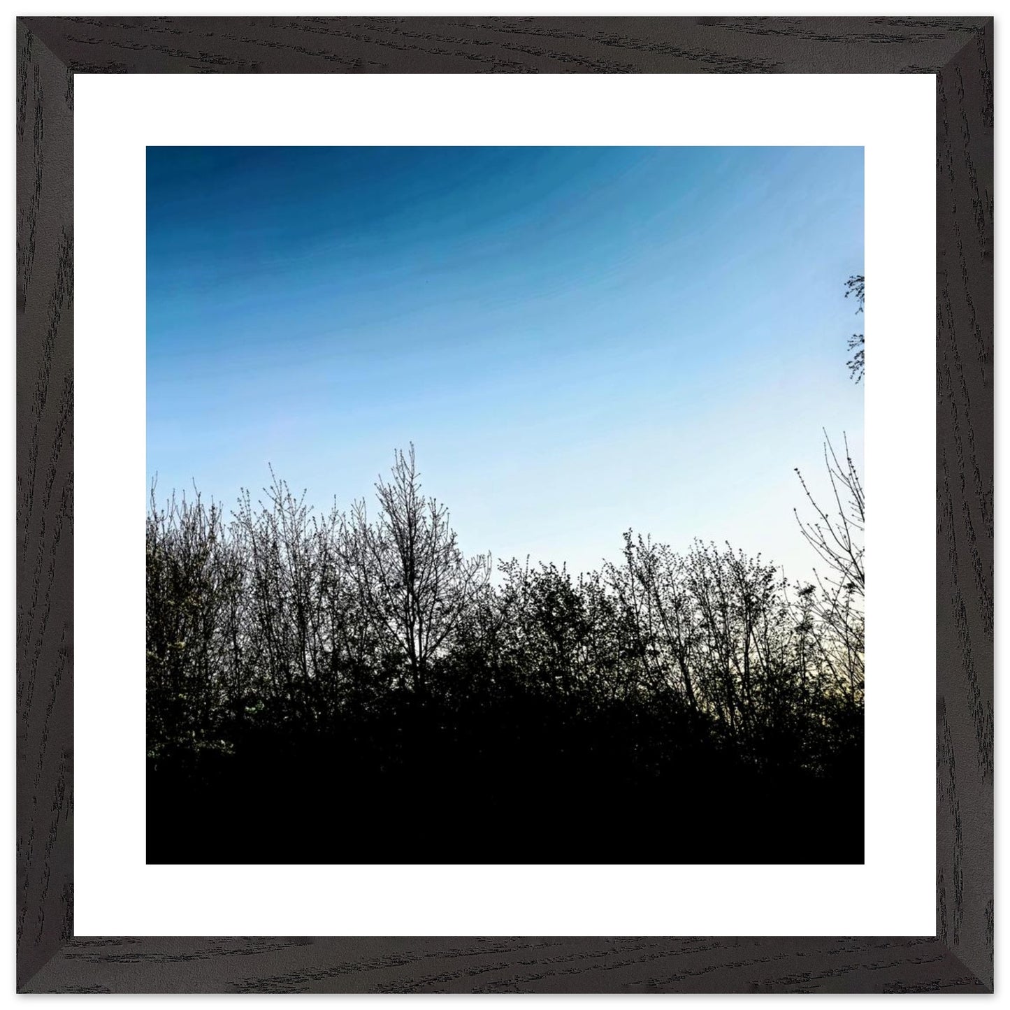 dcc3036b-1ebe-4c02-a4be-a46b24088690