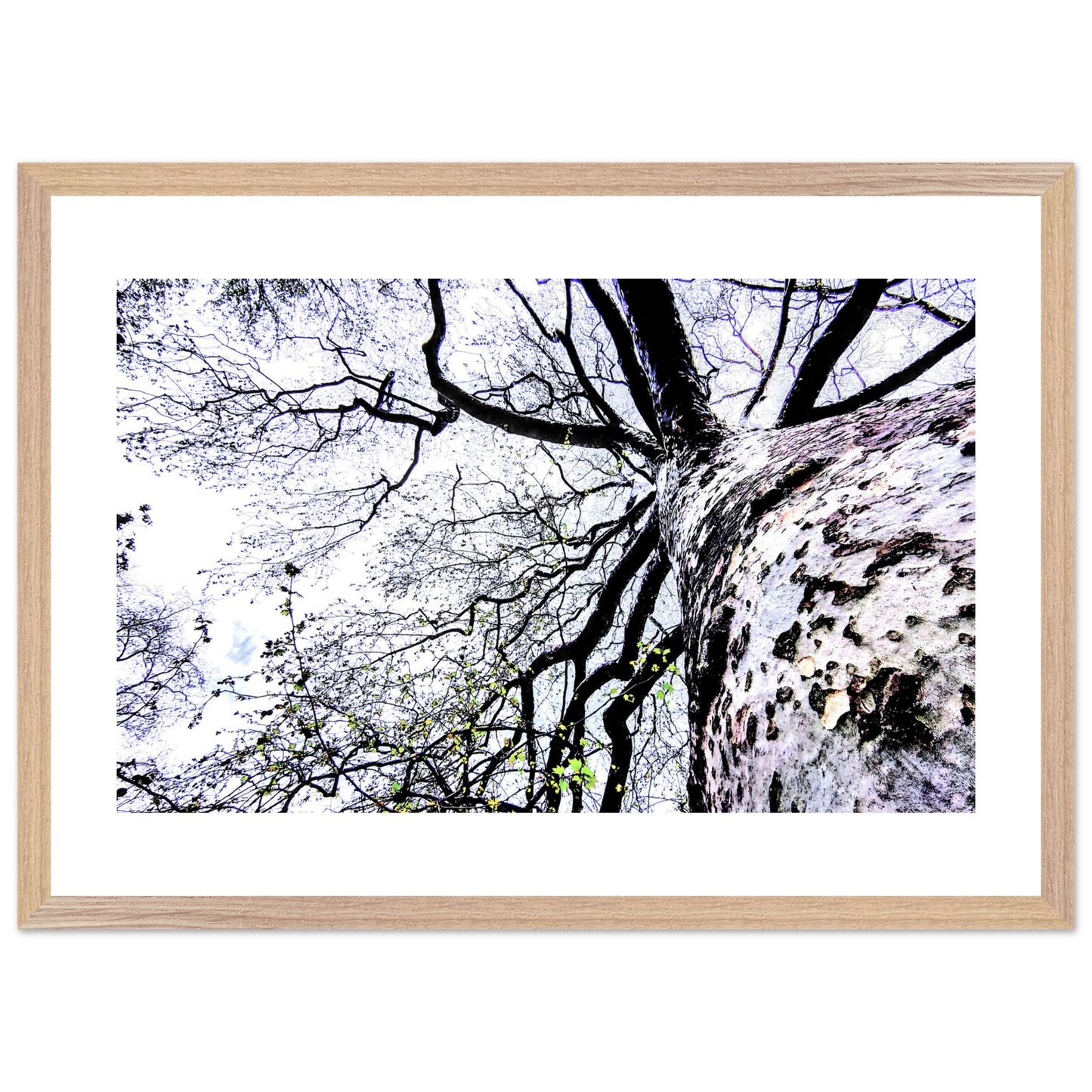 dd39fb9d-6231-4b28-9783-417bd18c2af4