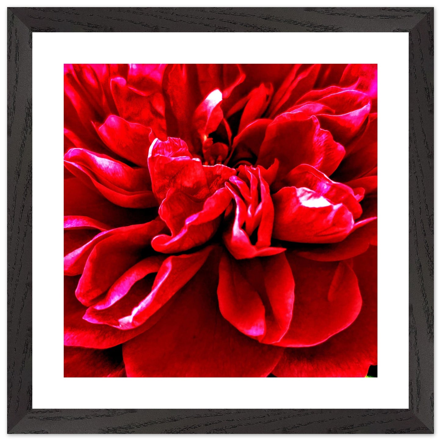 e8778104-1fd1-4ae5-a776-e8ef3e4b04a6