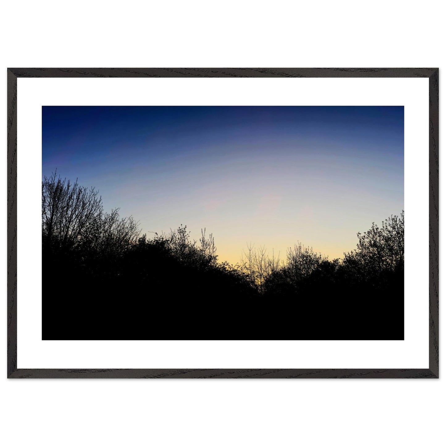 ecaa4338-f4a1-4915-8043-75874320585c